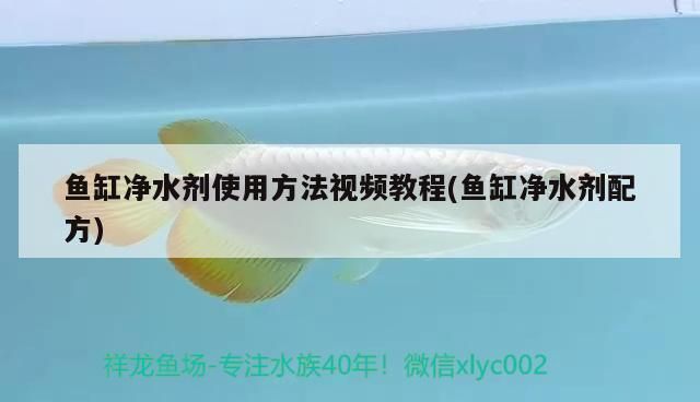 金龍魚(yú)標(biāo)簽尺寸：金龍魚(yú)標(biāo)簽尺寸通常為120毫米×60毫米
