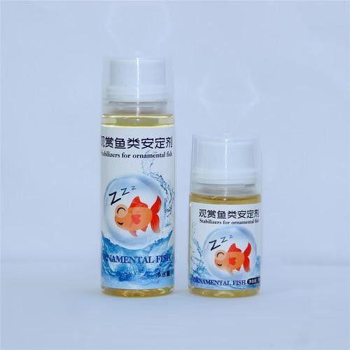 龍魚麻藥用量大嗎圖片