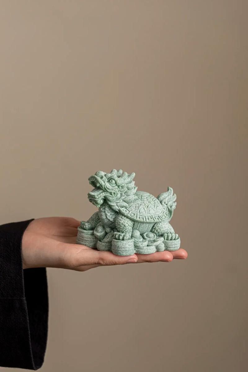 給我推薦一些高質量的龍龜圖片
