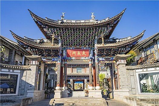 給我推薦一些高質量的龍龜圖片