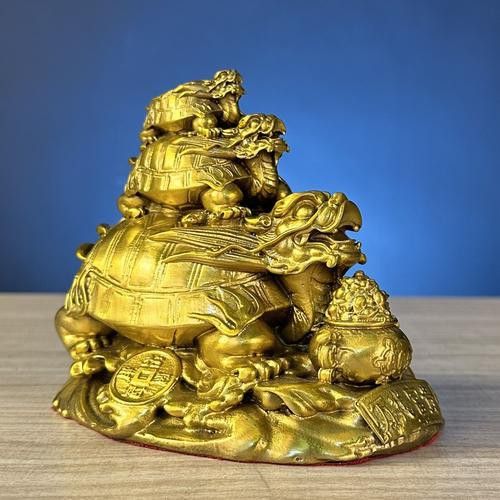 給我推薦一些高質量的龍龜圖片