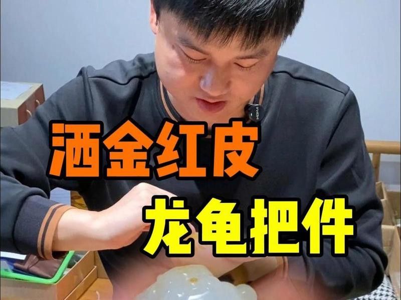 給我推薦一些高質量的龍龜圖片