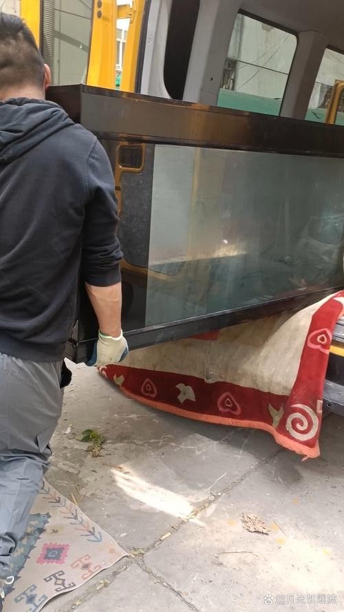 龍魚怎么打包發貨快一點 龍魚怎么打包發貨快一點 龍魚百科 第1張
