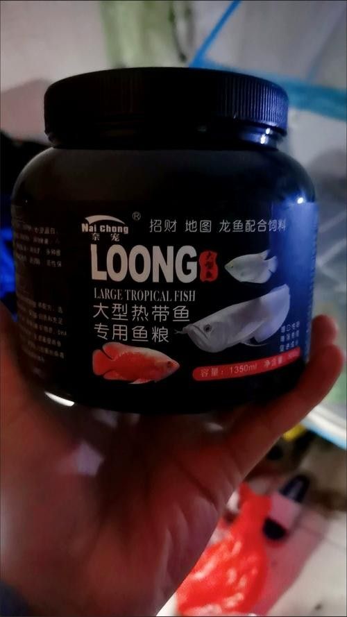 龍魚怎么打包發貨快一點 龍魚怎么打包發貨快一點 龍魚百科 第4張