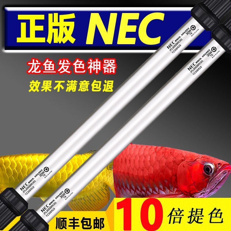 金龍魚用燈管和led哪個好：金龍魚用燈管和led哪個好金龍魚燈管和led哪個好