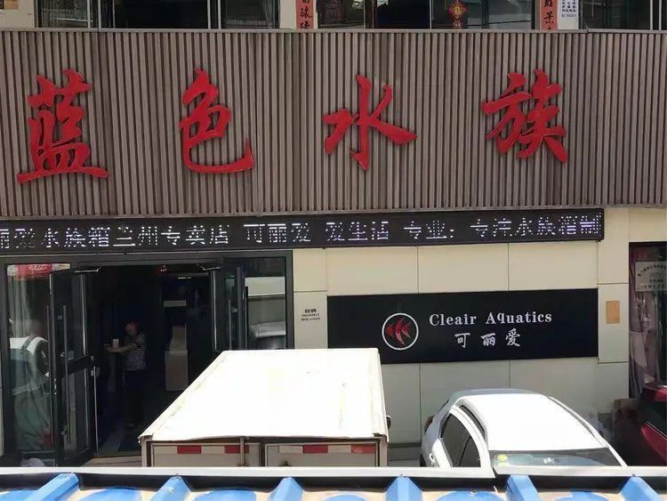 可麗愛魚缸官網專賣店