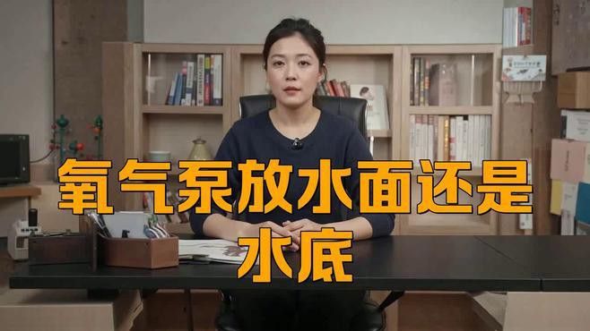 六角龍打氧泵應該放在什么位置