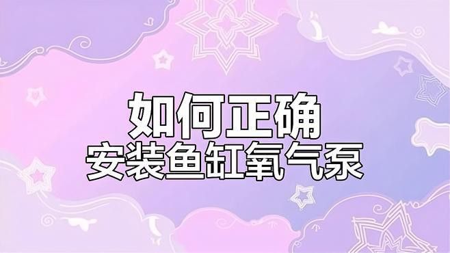 六角龍打氧泵應該放在什么位置