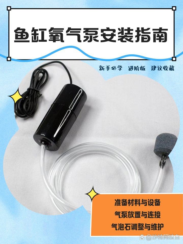 六角龍打氧泵應該放在什么位置