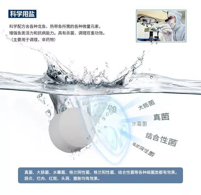 龍魚鹽浴需要幾度（龍魚鹽浴的適宜水溫之前需要明確一點：龍魚鹽浴需要幾度）