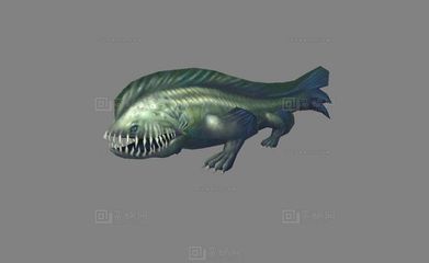 像龍的白色有四肢的魚是什么魚：六角恐龍是什么魚