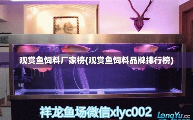 觀賞魚飼料品牌推薦：觀賞魚飼料品牌推薦：觀賞魚飼料品牌推薦