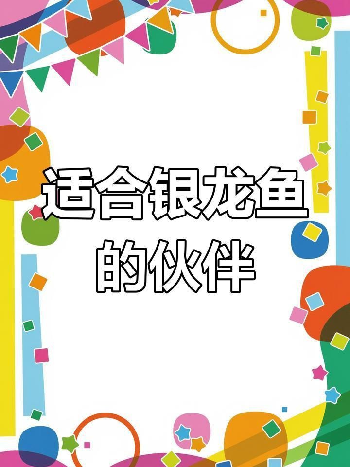 銀龍魚的最佳混養伙伴有哪些？