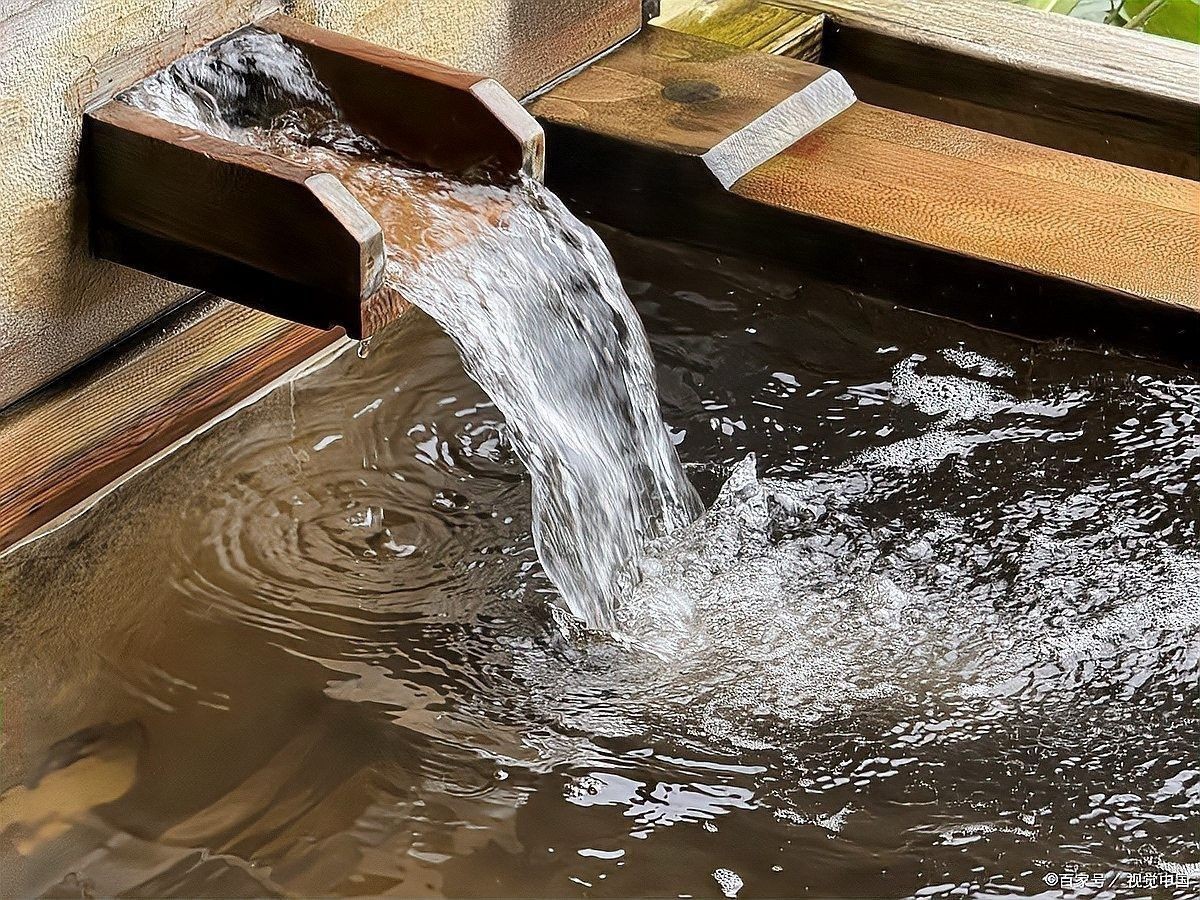 龍魚換水時需要加入多少鹽？