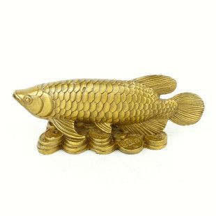 金龍魚銅線（金龍魚銅線與普通銅線區別）