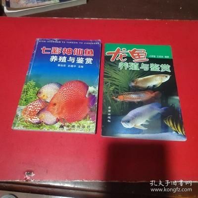 七彩神仙魚的養殖方法：七彩神仙魚養殖方法