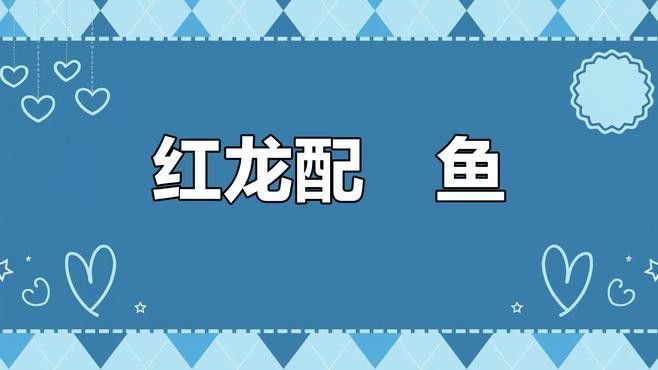 和紅龍魚混養的有哪些魚類圖片大全