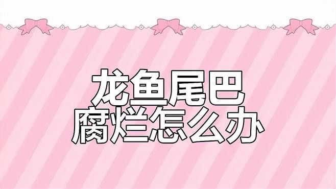 如何判斷龍魚掉尾的損傷程度？