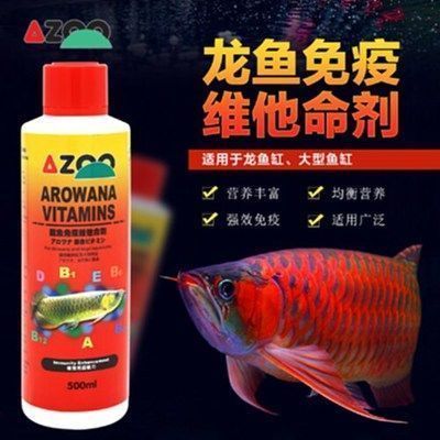 紅龍魚飼料維生素作用解析：紅龍魚飼料中含有的維生素對它們的生長、健康至關(guān)重要