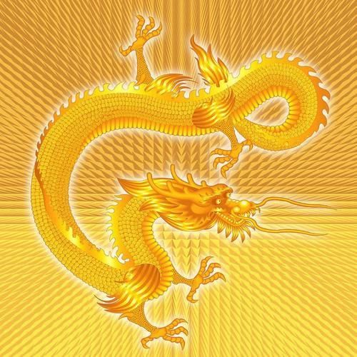 黃金龍圖片
