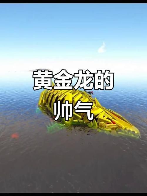 黃金龍圖片