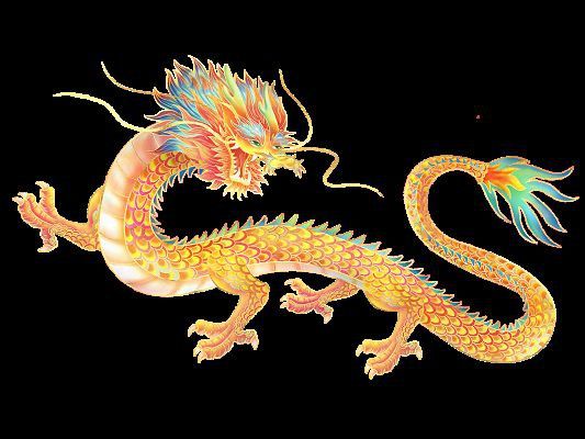 黃金龍圖片
