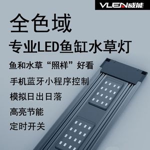 世界上最大的金龍魚擺件是什么品種：世界上最大的金龍魚擺件，藝術與風水的完美結合