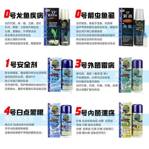 龍魚專用藥水配方：專為龍魚設(shè)計(jì)的藥水配方