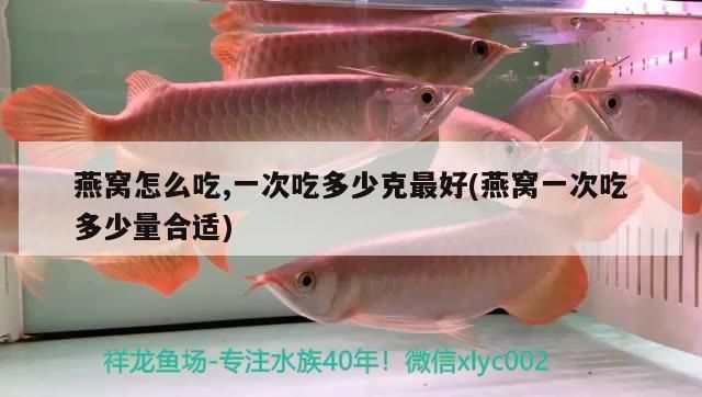 龍魚有多重
