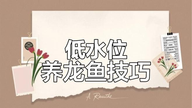 紅龍魚怎么樣最好 紅龍魚怎么樣最好 龍魚百科 第11張