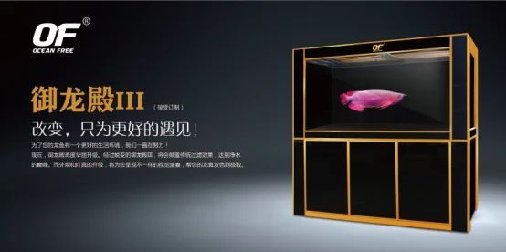 龍魚燈哪個(gè)品牌好貼吧：龍魚燈哪個(gè)品牌好