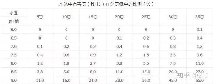 怎么挑選龍魚視頻教學