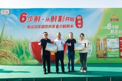 金龍魚變金色過程：如何讓金龍魚展現出美麗的金色