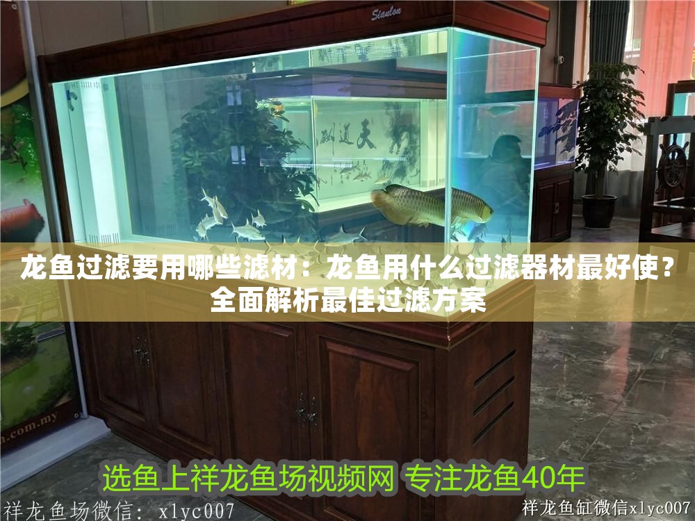 龍魚過濾要用哪些濾材：龍魚用什么過濾器材最好使？全面解析最佳過濾方案
