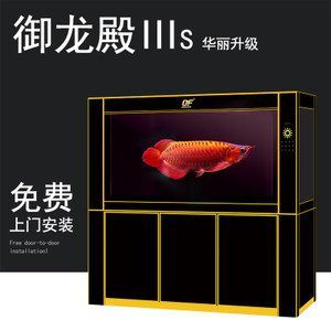 金龍魚的缸一般要多大容量：養(yǎng)金龍魚最小需要多大的魚缸？