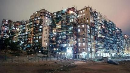 香港其他配魚，香港其他配魚概念及其在漁業中的應用