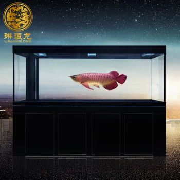 龍魚的品牌有哪些種類：龍魚品牌有哪些種類 龍魚的品牌有哪些種類：龍魚品牌有哪些種類 龍魚百科 第3張