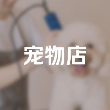 石家莊龍魚市場地址在哪里呀
