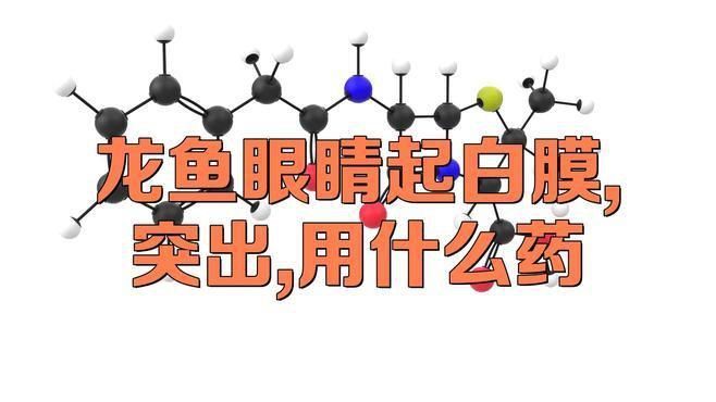 龍魚眼睛有白點怎么辦 龍魚百科 第3張 龍魚眼睛有白點怎么辦 龍魚眼睛有白點怎么辦 龍魚百科 第3張