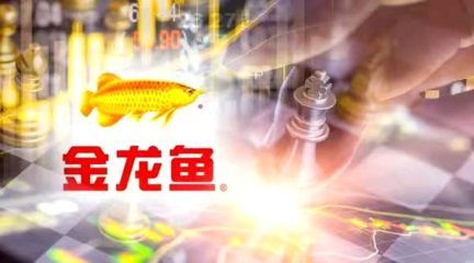金龍魚需要24小時開燈嗎：金龍魚是否需要24小時開燈？