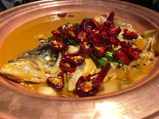 十堰龍魚專賣店
