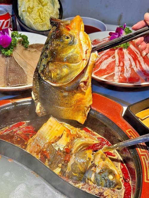 十堰龍魚專賣店