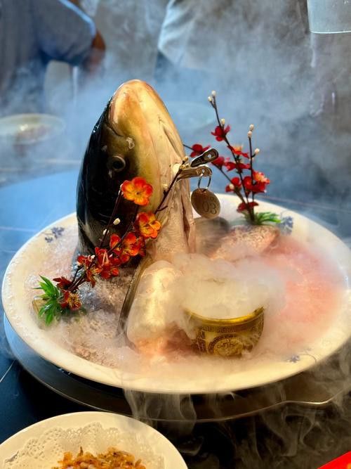 十堰龍魚專賣店