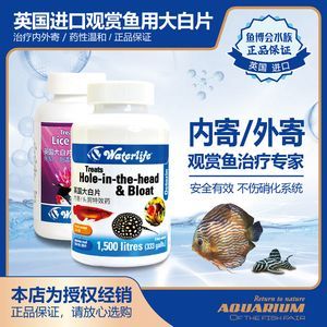 龍魚頭上有白點：龍魚頭上有白點怎么辦