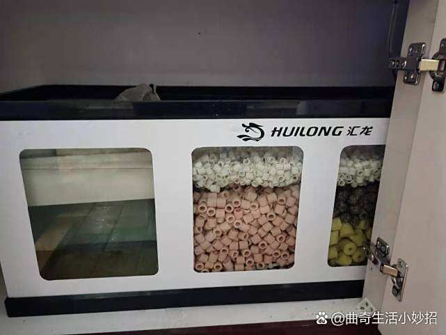 龍魚缸過濾器多久清洗一次
