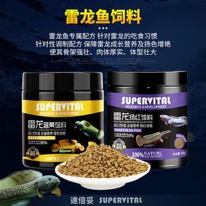 提高雷龍魚繁殖成功率的飼料選擇：如何判斷雷龍魚的繁殖成功率
