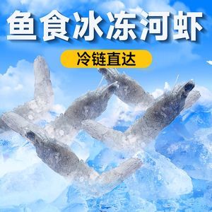 提高雷龍魚繁殖成功率的飼料選擇：如何判斷雷龍魚的繁殖成功率