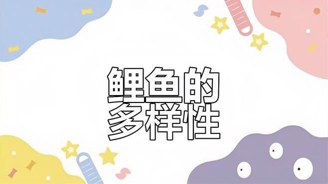 鯉魚長啥樣了