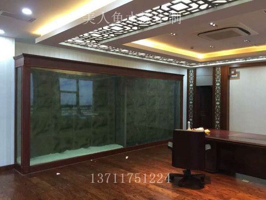龍魚缸里適合養(yǎng)的植物是什么（哪些植物適合養(yǎng)在魚缸里？） 龍魚缸里適合養(yǎng)的植物是什么（哪些植物適合養(yǎng)在魚缸里？） 龍魚百科 第4張