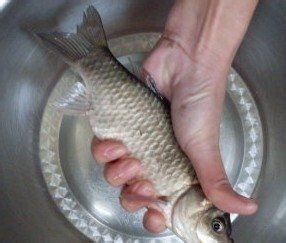 如何安全地處理魚以避免寄生蟲感染？